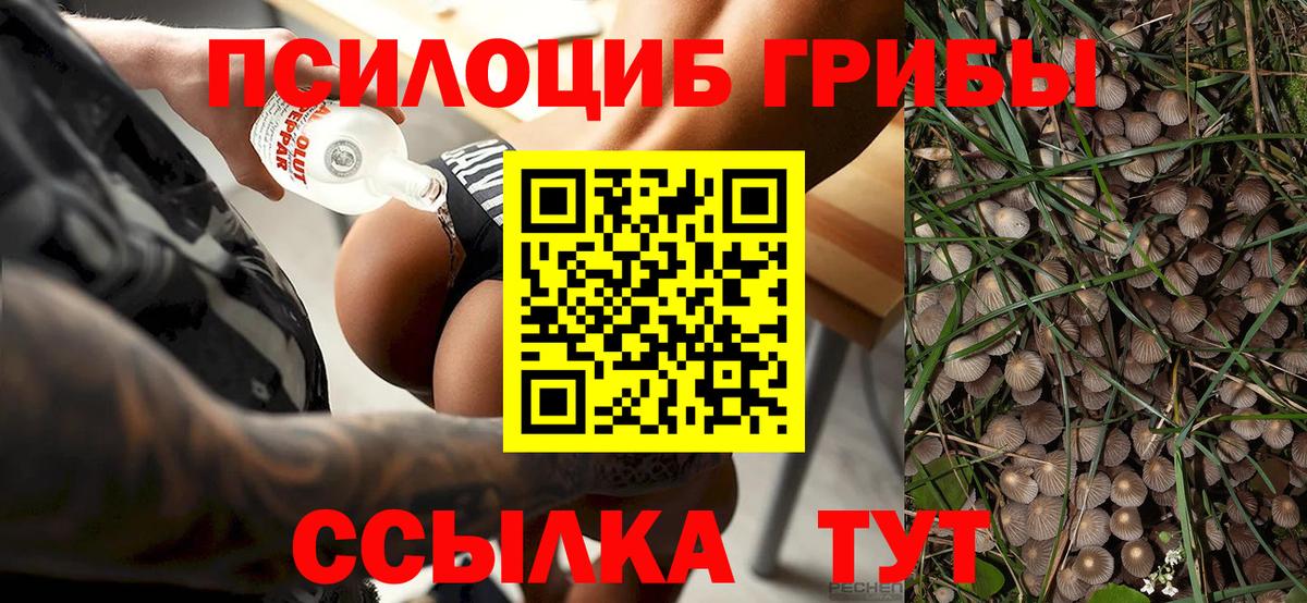 Псилоцибиновые грибы Magic Shrooms Хабаровск