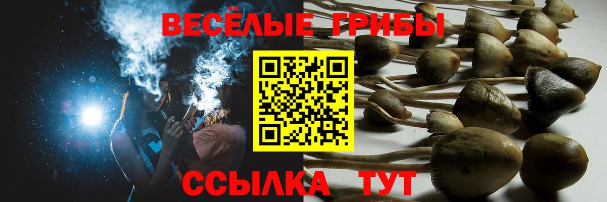 Псилоцибиновые грибы Magic Shrooms  Псилоцибиновые грибы GOLDEN TEACHER  Хабаровск  Вход с VPN 